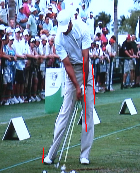 tiger woods transition