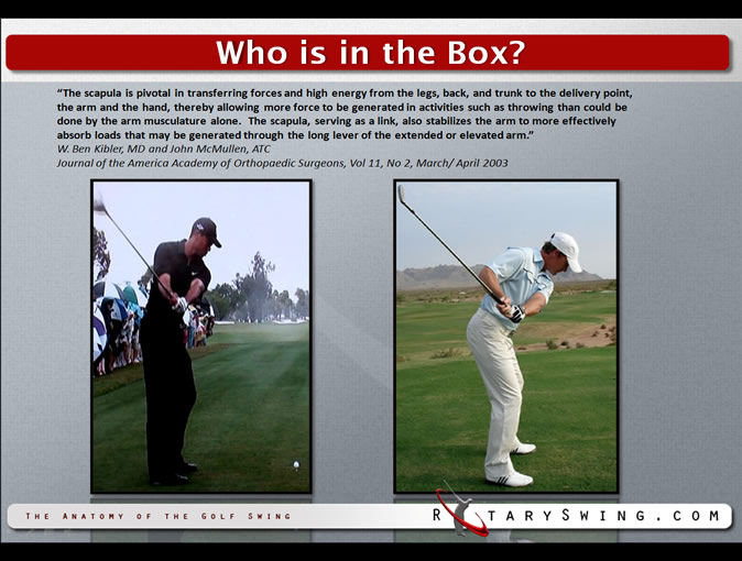 tiger woods online swing clinic